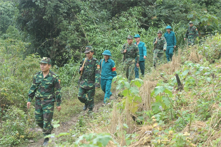 xay dưng y chi