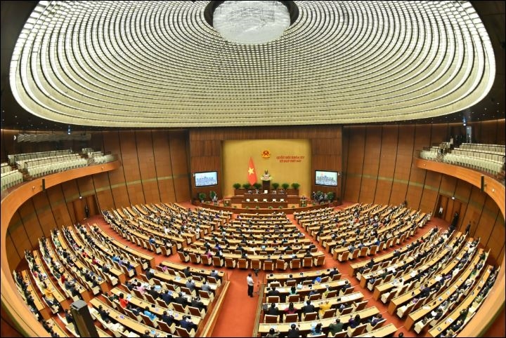co do viet nam
