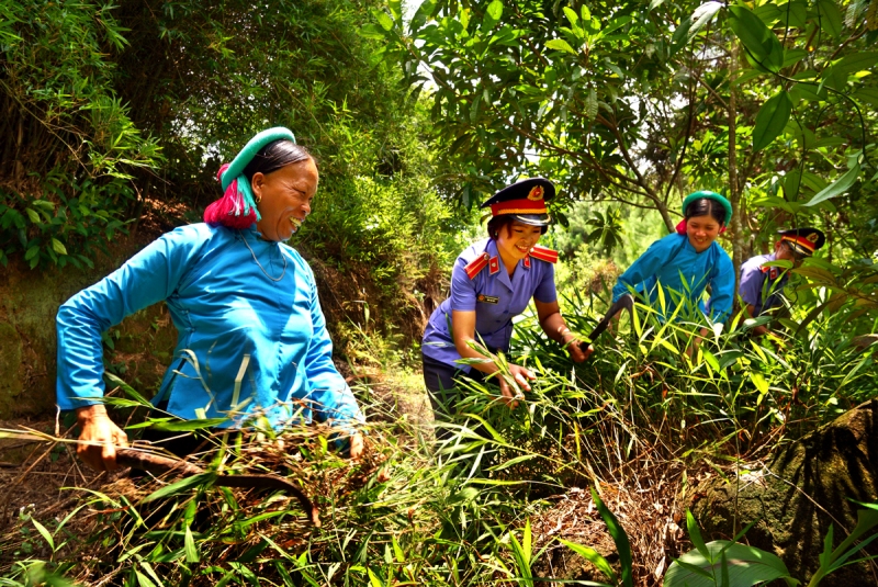 dung la phai bao ve 2
