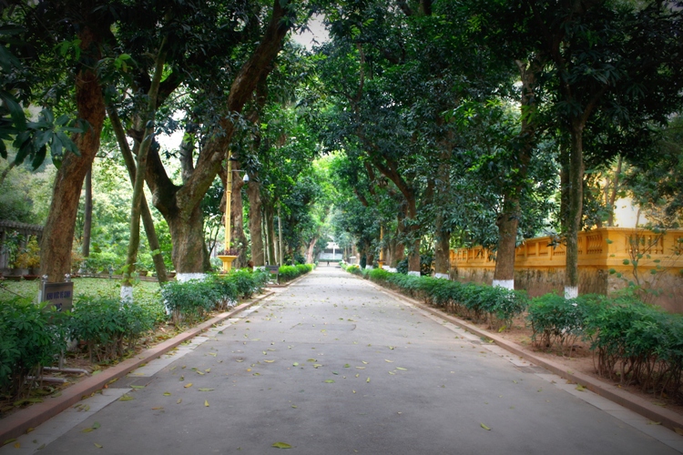 duong-xoai1